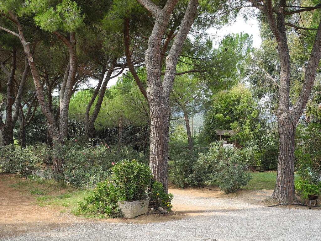 Podere Oslavia Az.Agr.Bio Giannini ألبيريزي المظهر الخارجي الصورة