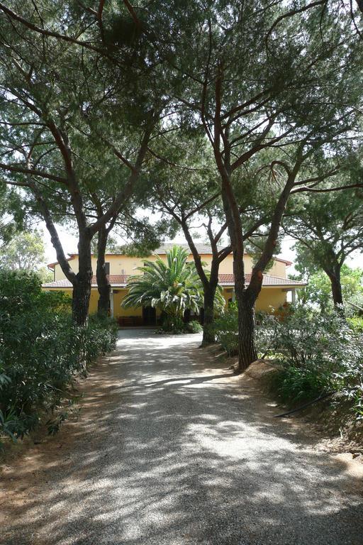 Podere Oslavia Az.Agr.Bio Giannini ألبيريزي المظهر الخارجي الصورة