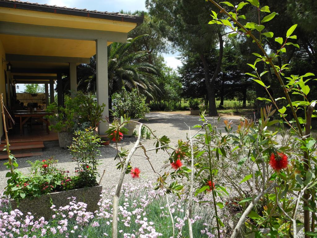 Podere Oslavia Az.Agr.Bio Giannini ألبيريزي المظهر الخارجي الصورة
