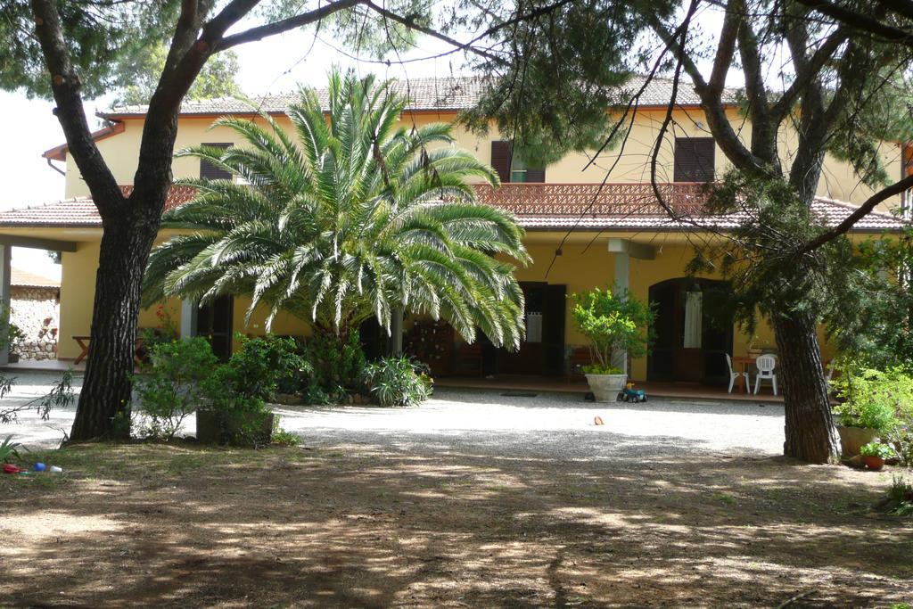 Podere Oslavia Az.Agr.Bio Giannini ألبيريزي المظهر الخارجي الصورة